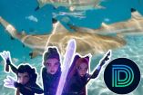 Las Guerreras K-pop llegan a Shark Week con ‘KPop Shark Heroes’, el inesperado especial de Discovery