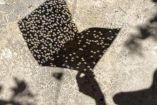 Una de las obras de “En un estante, las termitas”, de la uruguaya Ana Bidart.
