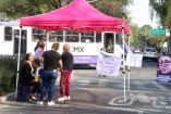 Las integrantes del colectivo exigían atención a diversas carpetas de investigación relacionadas con casos de violencia familiar y presuntos abusos contra menores de edad