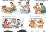 Gusano barrenador