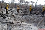 Los incendios provocados en esta zona ha provocado severos daños ecológicos.