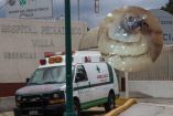 La infestación ocurre cuando las larvas de una mosca depositan sus huevecillos en heridas abiertas o lesiones de la piel
