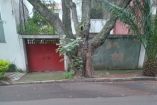 Adriana González Camarena afirmó que su familia preparaba la denuncia, cuando falleció su padre, en junio pasado