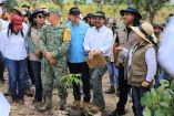 Jornada Nacional de Reforestación 2026