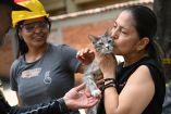 Tras el terremoto de Colombia, voluntarios rescatan mascotas entre los escombros y algunas familias logran reencontrarse con sus animales.