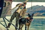 ¿Se muere el perro en El corazón de la bestia?