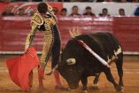 Diego Silvetti no pudo cortar trofeos esta tarde de domingo en la Plaza de Toros México