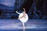 Misty Copeland asumió el papel protagonista del ballet "El lago de los cisnes", que representa el American Ballet Theatre en NY. Foto EFE