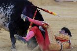 Muere torero español tras ser cornado en el pecho