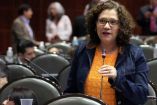 Matrimonio igualitario, Diputada, Maricela Contreras, Morena, Pendientes, LGBTTTIQ, Cámara de Diputados, Congreso de la Unión, Código Civil
