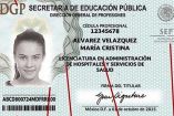 Cédula profesional digital, SEP, Educación, Internet