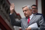 No se cortarán árboles por Tren Maya: López Obrador