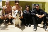 Los Red Hot Chili Peppers ya trabajan en su nuevo álbum