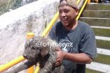 Captan rescate de perrito que cayó a barranco en Á. Obregón 