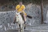 Prohíben a 'turistas gordos' montar burros en Grecia 
