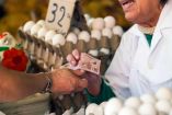Canasta básica alimentaria, Economía, Alimentos, Salario mínimo, Coneval, Pobreza