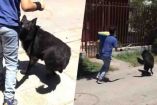 '¿Puede salir el Black?': perrito es buscado por niños para salir a jugar