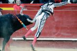 Enrique Ponce sufrió una cornada durante la faena de muleta al quinto toro de la corrida del pasado lunes en la feria de Fallas de Valencia (EFE)