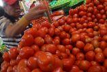 El tomate es el tercer producto agrícola de exportación de México, después de la cerveza y el aguacate, y uno de cada dos tomates consumidos en Estados Unidos son de origen mexicano.