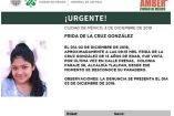 Caen 3 adolescentes por el secuestro de Frida… ella sigue desaparecida 
