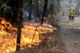 Calor agrava incendios en Australia; van 23 muertos