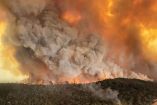 Llega el apoyo internacional para combatir los incendios en Australia