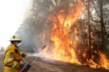 Australia fomenta turismo extranjero pese a incendios 