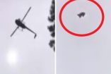 ¡Terrible! Lanzan cerdo desde helicóptero; todo quedó en video