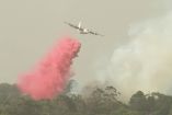 Australia combate nuevos incendios; humo cubre la capital
