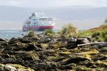 Reactivará Argentina reclamo sobre las Islas Malvinas 