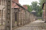 Descubren objetos escondidos por prisioneros en campo de concentración de Auschwitz