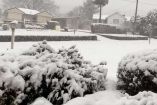 Inusual nevada sorprende a Australia