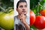 Jitomate, tomate y tomatillo... ¿Cuál es la diferencia?