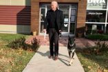 Major, un pastor alemán, será el primer perro rescatado en vivir en la Casa Blanca. La familia Biden lo adoptó en noviembre de 2018 de la Asociación Protectora de Animales de Delaware. Champ, también pastor alemán, se unió a la familia en 2008.