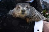 Día de la Marmota 2021: Marmota 'Phil' predice que el invierno será largo