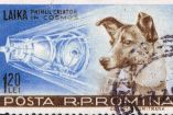 Laika, perrita astronauta