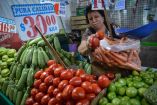 El precio del jitomate continúa a la alza en los diversos mercados del país… en algunos sitios se “oferta” en 30 o hasta 35 pesos. / Cuartoscuro