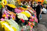 El Estado de México es la entidad con el mayor volumen de producción de flores ornamentales. Foto: Cuartoscuro