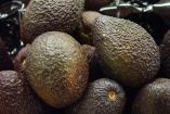 En la última semana el precio del aguacate sigue por las nubes. Va de los 90 pesos a 131 en centros comerciales / Especial
