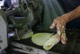 Piden apoyo en consulta para tortillas sin maíz transgénico/Cuartoscuro
