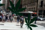 Cinco claves sobre la legalización de la mariguana en Estados Unidos