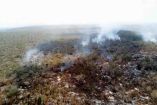 El incendio en la Biosfera Calakmul, en Campeche, cumplió 16  días, con más de cinco mil 600 hectáreas afectadas. /Cuartoscuro