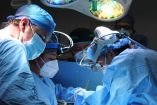 Médicos haciendo un trasplante