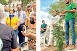 En el jardín Libertad de Colima el colectivo Legaliza Colima realizó la siembra simbólica de la primera planta de cannabis. Fotos: Especial