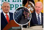 Collage de Andrés Manuel López Obrador, Joe Biden y migrantes.