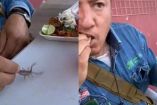 Un alacrán y un electricista que se lo come vivo en un taco