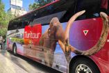 Autobus del Turitour. 