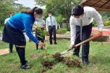 Estudiantes siembran un árbol en su regreso a clases.