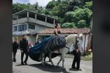 Imagen de la quinceañera a caballo con sus chambelanes