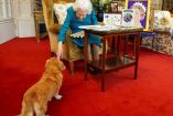 Isabel II juega con uno de sus corgis en el Palacio de Buckingham el 4 de febrero de 2022.